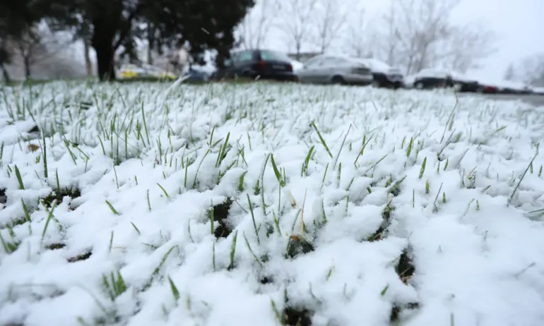 Циклон носи първия сняг в София в събота - (ГРАФИКИ) - Tribune.bg