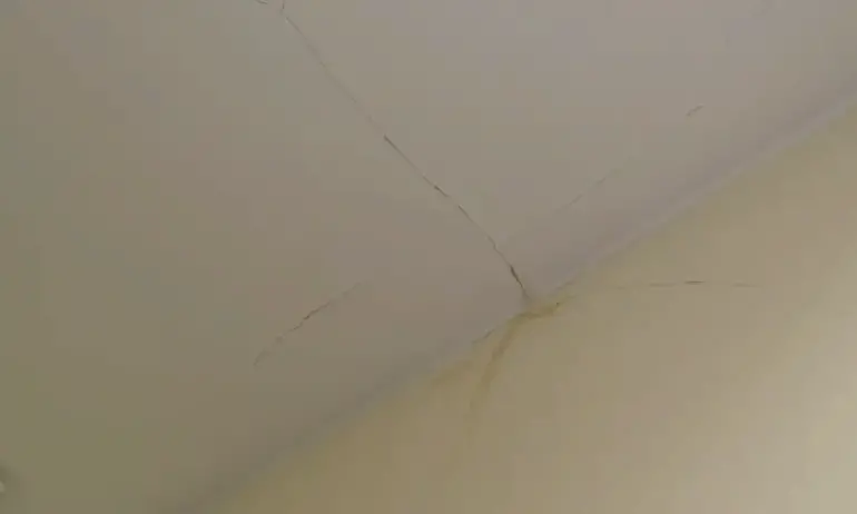 Течове и мухъл във временна детска градина в Перник (ВИДЕО) - Tribune.bg