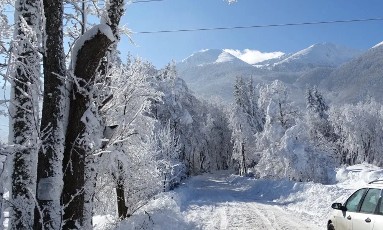 Сняг вали в Петроханския проход - Tribune.bg