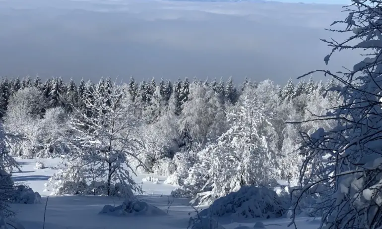 Очаква ни затопляне за празниците - Tribune.bg
