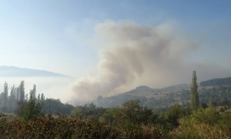 Пожар избухна в гората над Карлово - Tribune.bg