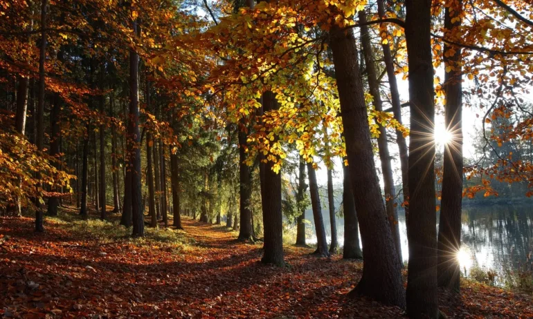 Повечето от дните през втората половина на ноември ще са по-топли от обичайното - Tribune.bg