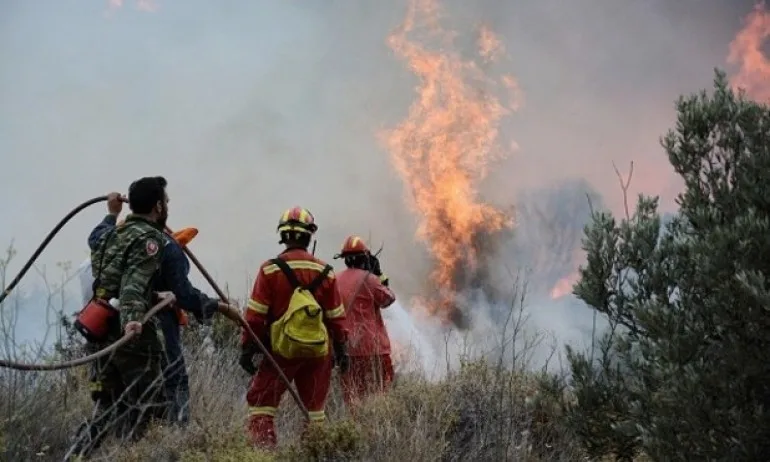 Арестуваха 65-годишен за пожарите в Гърция - Tribune.bg