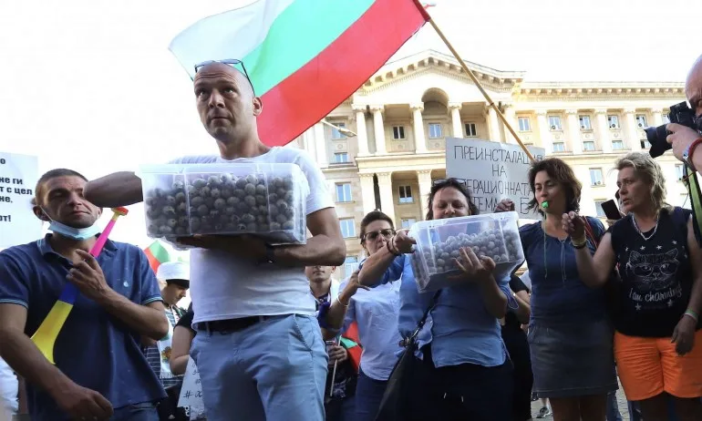 Разхищение: Протестиращи мятаха пъдпъдъчи яйца по МС (СНИМКИ) - Tribune.bg
