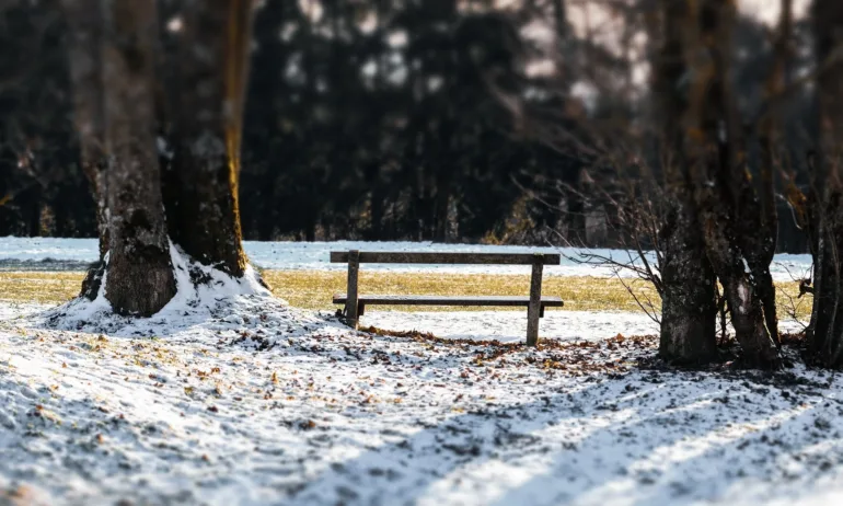 Зимата идва – от утре дъждът се обръща на сняг - Tribune.bg