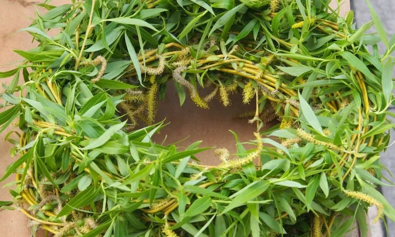 На Цветница се благославят върбовите клонки - Tribune.bg