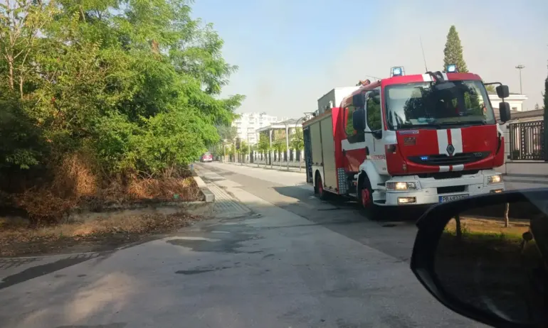 Овладян е пожарът около хотел Острова в Пловдив (СНИМКИ/ВИДЕО) - Tribune.bg