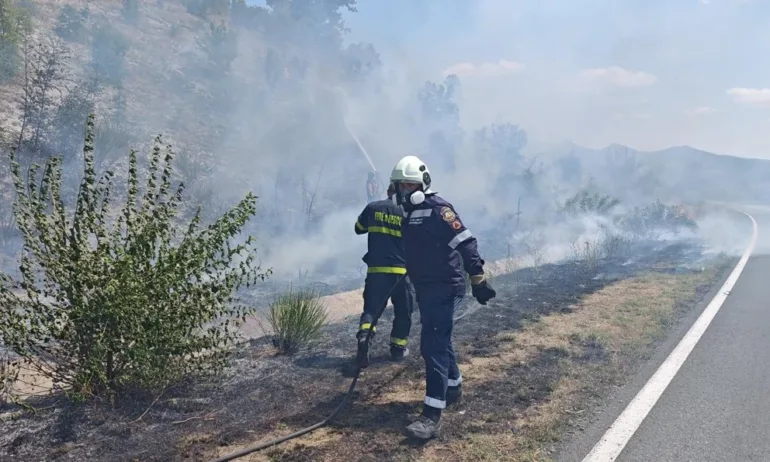 След дъжда: Пирин още тлее, над 45 000 декара са изпепелени - Tribune.bg