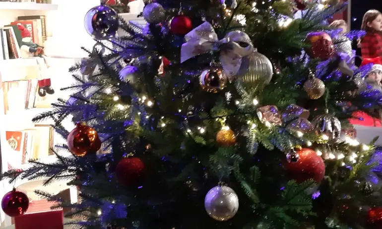 Над 2 550 000 лева достигнаха даренията за Българската Коледа - Tribune.bg