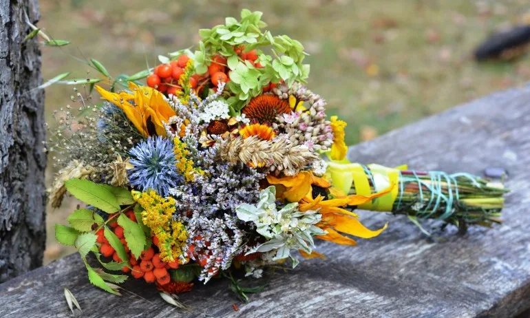 Ако Слънцето има свой собствен празник, това е Еньовден! - Tribune.bg