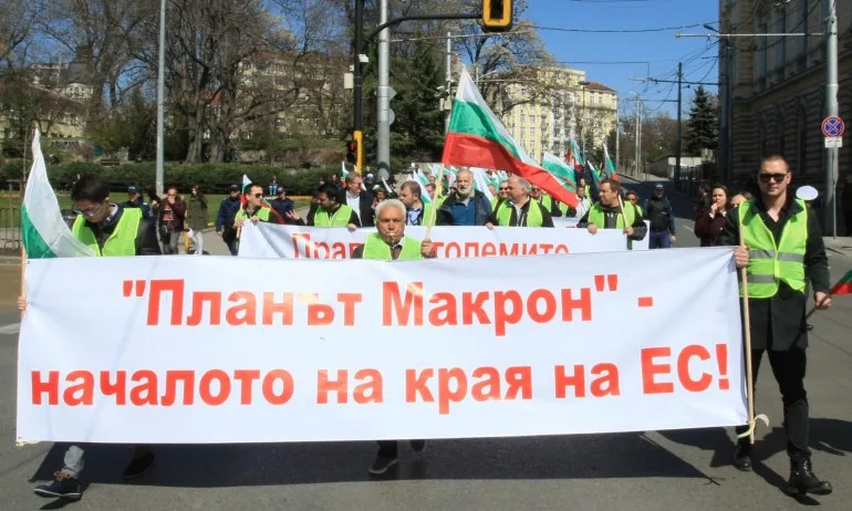 Превозвачи протестираха пред централата на ДСБ - Tribune.bg