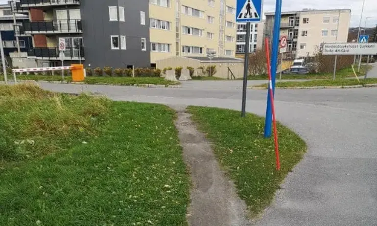 Утъпканите пътеки – пример за човешката рационалност или за човешкия мързел - Tribune.bg