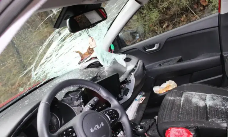 На косъм от трагедията: 20 кг. камък падна върху автомобил в Кресненското дефиле (СНИМКИ) - Tribune.bg