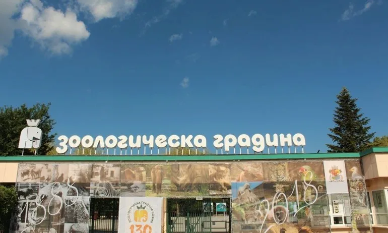 Виртуална разходка из Столичния зоопарк - Tribune.bg