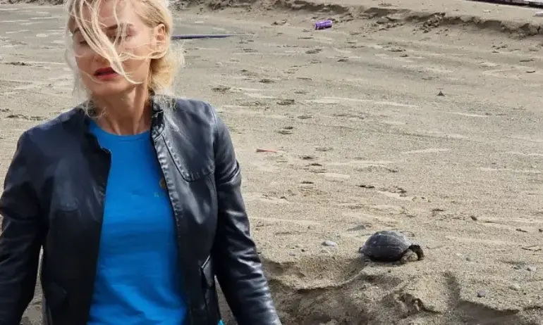 Ресторантьорите: Смеем се за ботушките и костенурките, но трябва силен министър - Tribune.bg