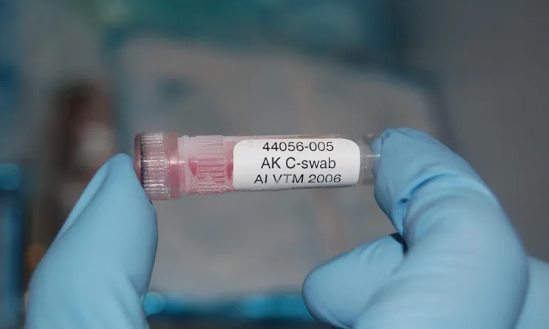 Епидемиолог: Птичият грип е мутирал, вече се предава и между бозайници - Tribune.bg