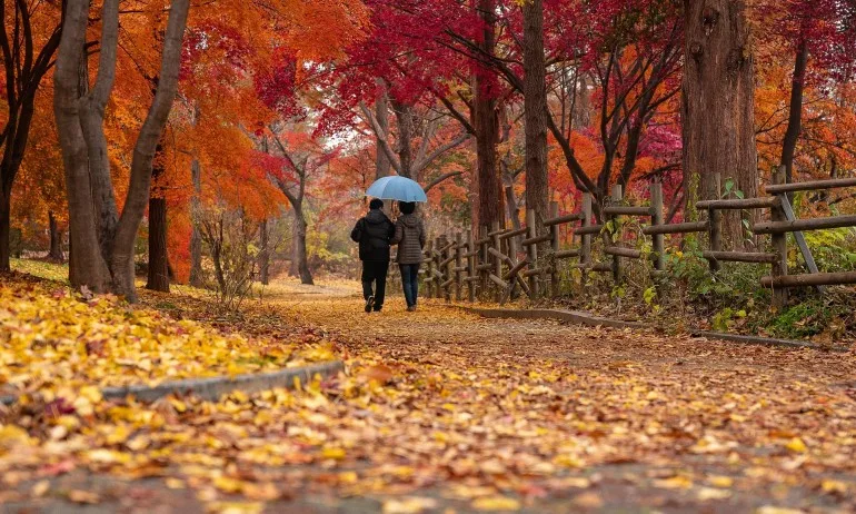 Съвместимост и несъвместимост на хората родени от 25 до 31 октомври - Tribune.bg