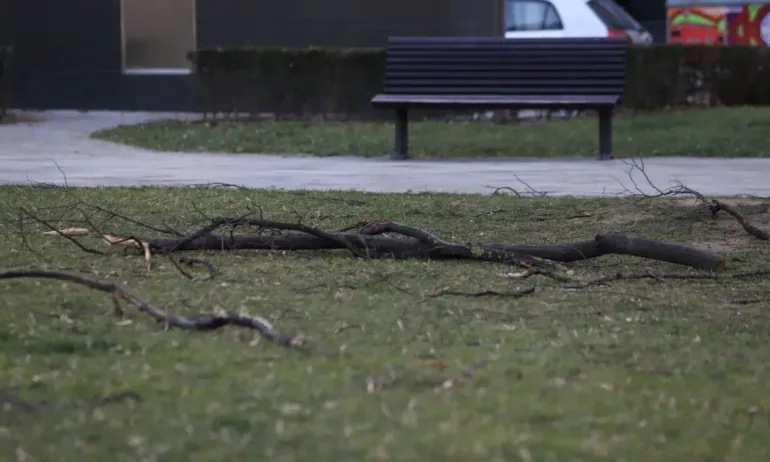 Проблеми в Пловдив заради силния вятър - Tribune.bg