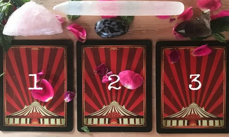 Таро прогноза за 14 ноември - Tribune.bg