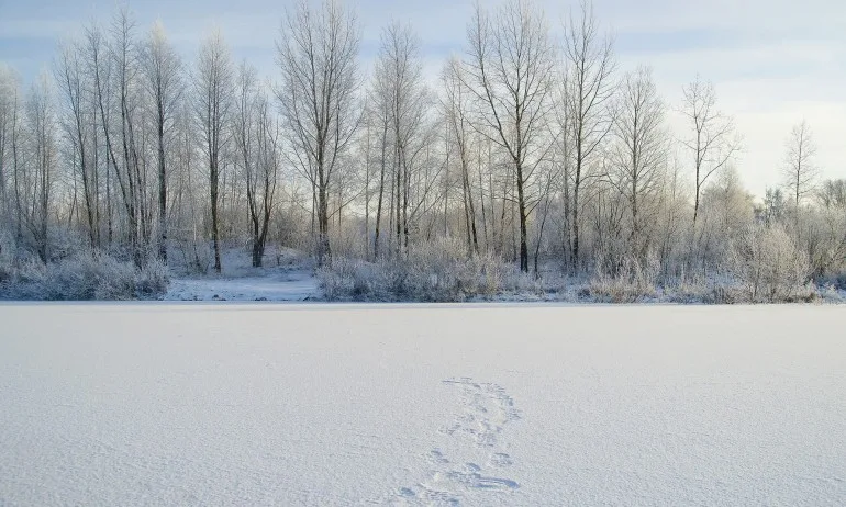 Снегът пълни язовир Студена - Tribune.bg