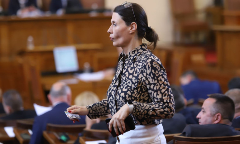 Депутатка от ДБ към Костадинов: Не може да ни обиждате, на протеста вчера бяха наши роднини и приятели - Tribune.bg