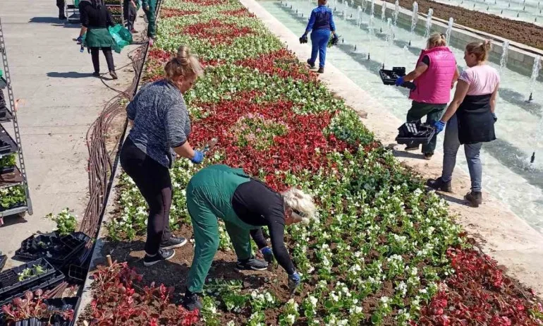 Криле от цветя в парка на НДК - Tribune.bg