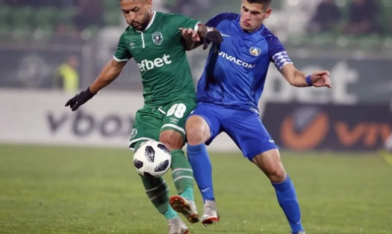 Масова чистка сред чужденците в Левски - Tribune.bg