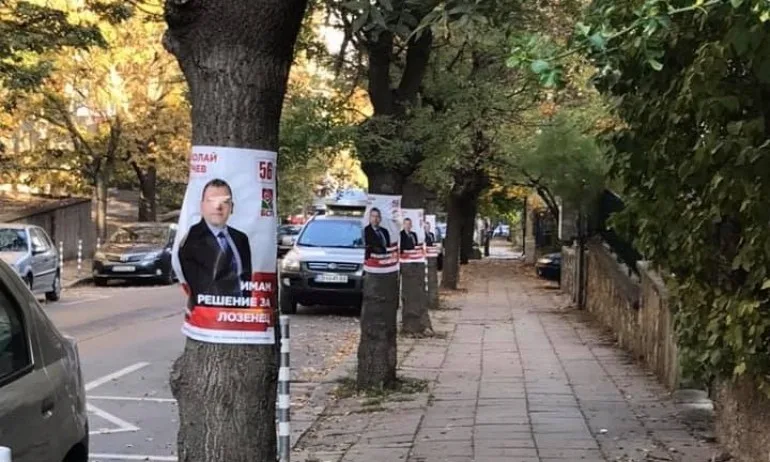 Жителите на Лозенец зоват БСП да си свалят плакатите от дърветата - Tribune.bg