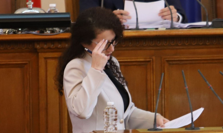 Протест пред МС: Искаме оставката на Калина Константинова - Tribune.bg