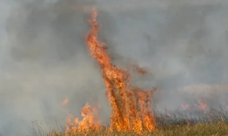 Трети ден Каварна е задимена от запалени лавандулови остатъци - Tribune.bg