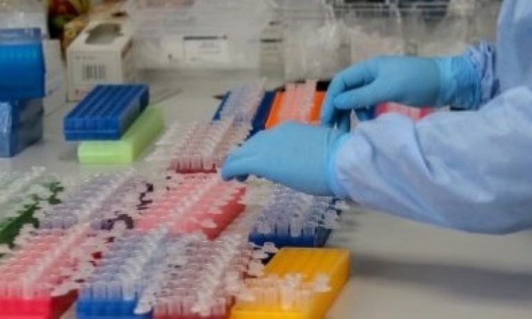 Увеличават се случаите на маймунска шарка в Европа - Tribune.bg