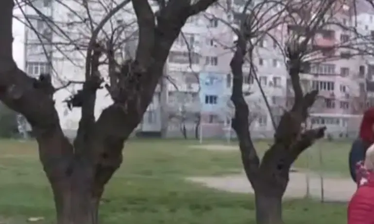 Протест в Пловдив: Не искаме тук да има детска ясла - Tribune.bg