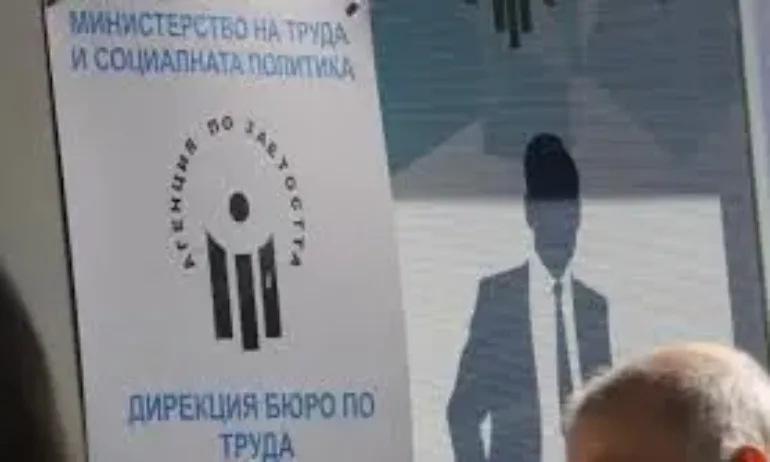 Агенцията по труда намери работа на 11 000 младежи от началото на годината - Tribune.bg