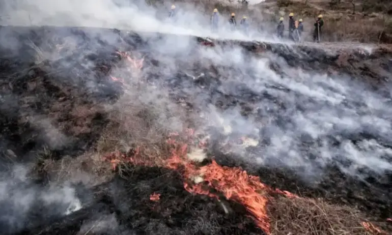 Единият от пожарите в Хасковско е запален от мигранти - Tribune.bg