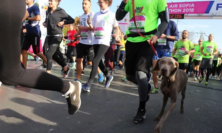 Стартира Маратон София 2019 - Tribune.bg