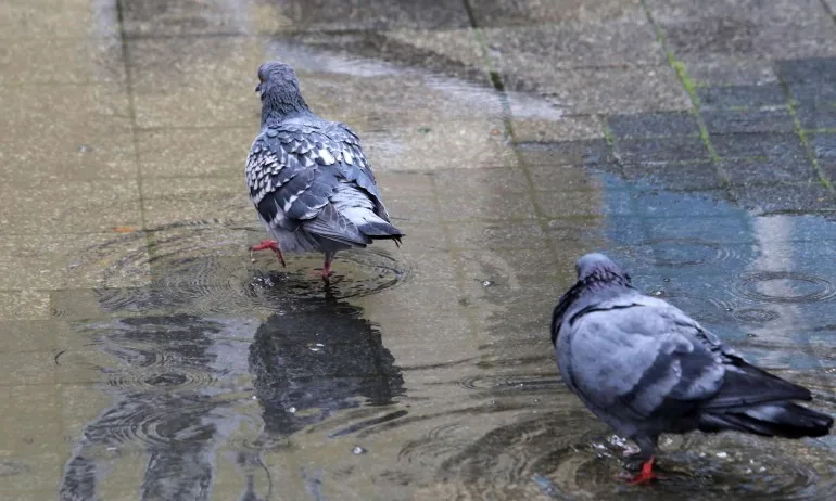 Температурите ще се понижат, облаци и дъжд над цялата страна - Tribune.bg