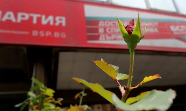 Съдът отказа да заличи Калоян Паргов и Кирил Добрев като членове на Националния съвет на БСП - Tribune.bg