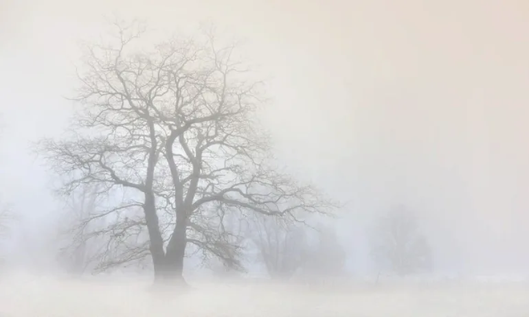 Мъгла ограничава видимостта около тунелите Витиня и Ечемишка по АМ Хемус - Tribune.bg