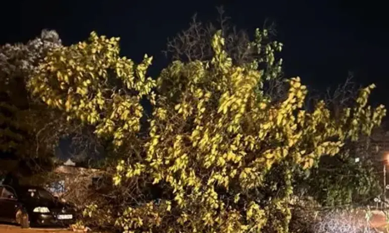 Мощна буря в Северозападна България бушува през нощта - Tribune.bg