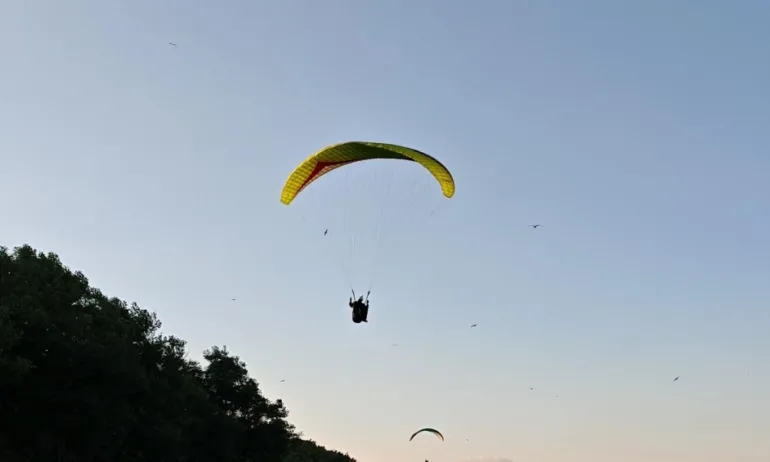 Спасиха парапланерист, увиснал на 20-метров бор в Осогово (СНИМКА) - Tribune.bg