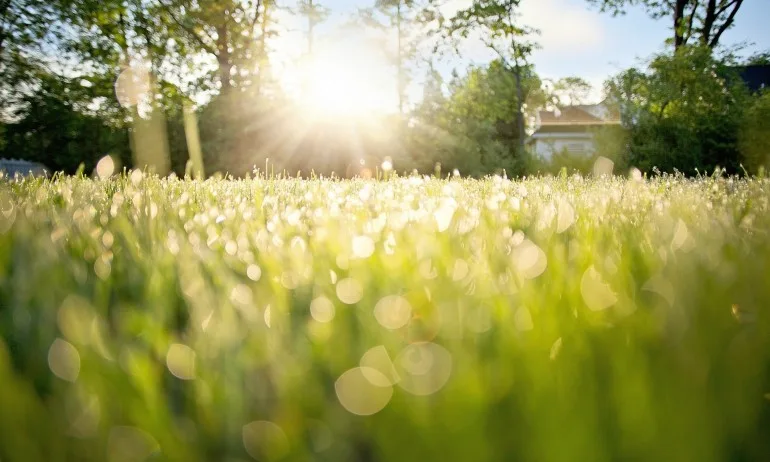 Вечерта срещу Гергьовден - Tribune.bg