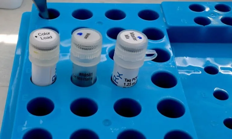 Костадин Ангелов: МЗ няма да се превръща в дистрибутор на ваксини - Tribune.bg