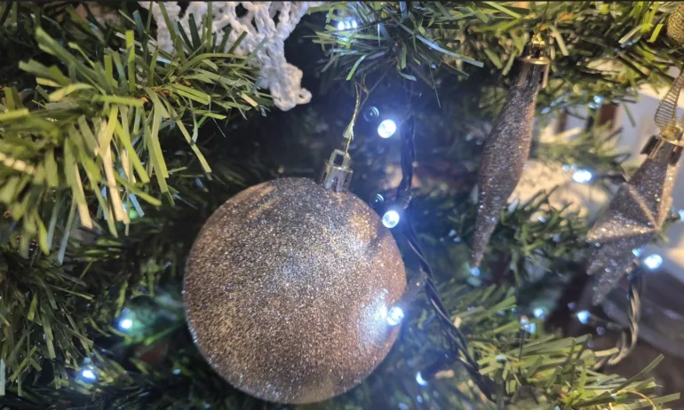 Варненският зоопарк призовава гражданите да дарят коледните си елхички - Tribune.bg