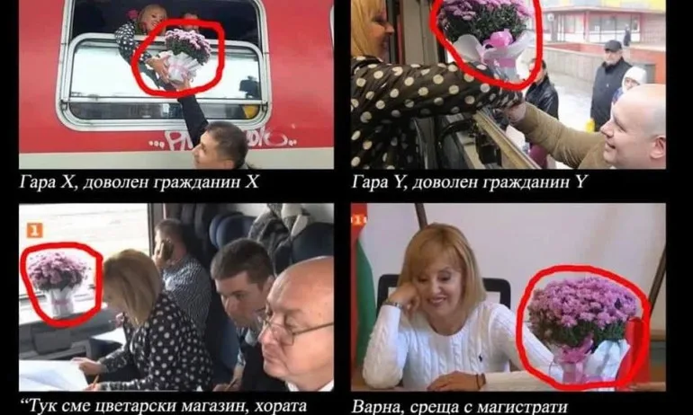 Железният букет на Мая Манолова - Tribune.bg