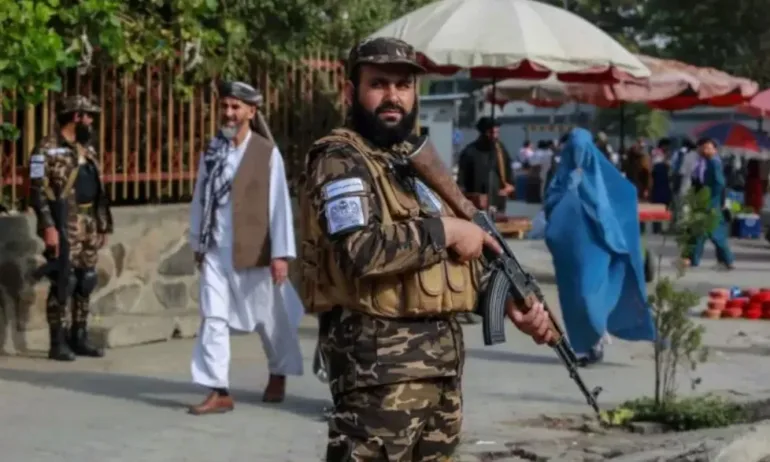 Талибаните забраниха отглеждането на канабис в Афганистан - Tribune.bg