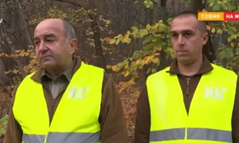 Заляха с бензин горски служители, спрели микробус с незаконна дървесина - Tribune.bg
