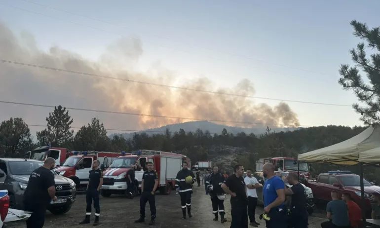 Държавна помощ: До 7500 лв. за всяко пострадало от пожарите семейство - Tribune.bg