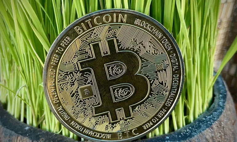 Столичен бизнесмен измамен с 1 млн. лв., мислел че инвестира в криптовалута - Tribune.bg