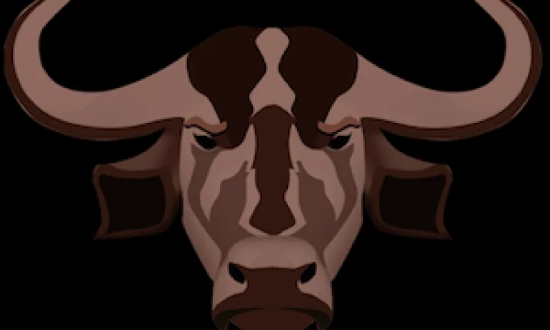 За демокрация с бандитски методи - Tribune.bg