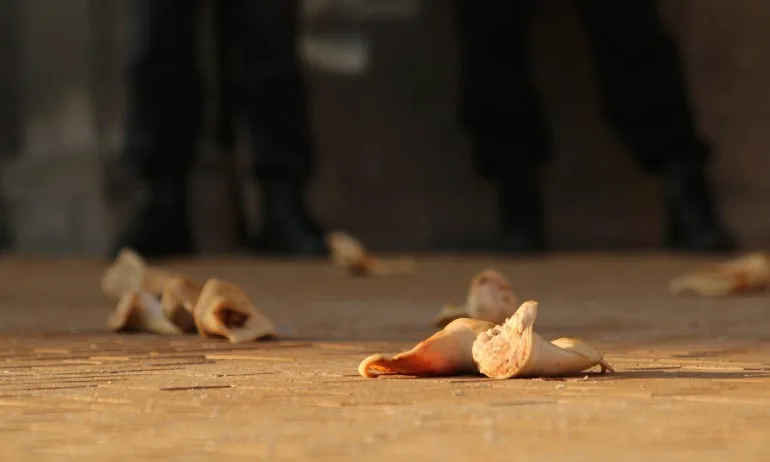 Защо умните и красивите хвърлят свински уши, а не агнешки главички? - Tribune.bg